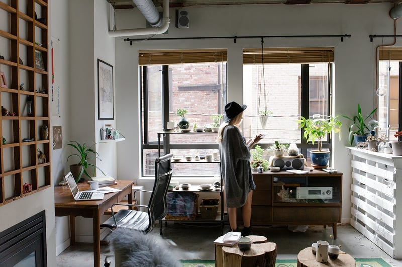 Green plants on desk